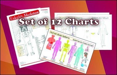 Set of 12 Charts Special in English & Haitian-Creole