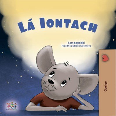 A wonderful Day  -  in Irish only   (HC)
