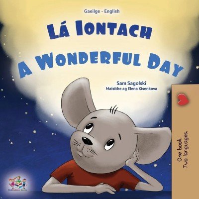 A wonderful Day  -  in Irish and English   (PB)