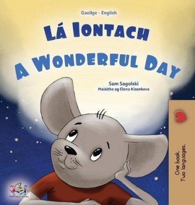 A wonderful Day  -  in Irish and English   (HC)