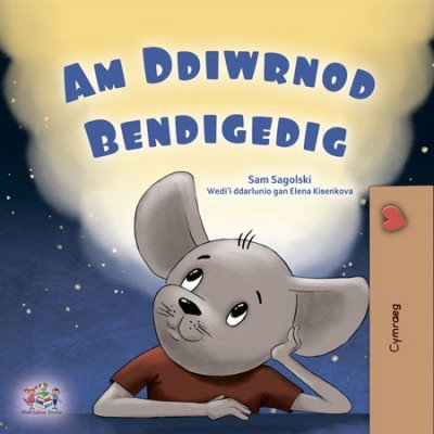 A wonderful Day - in Welsh only (PB)